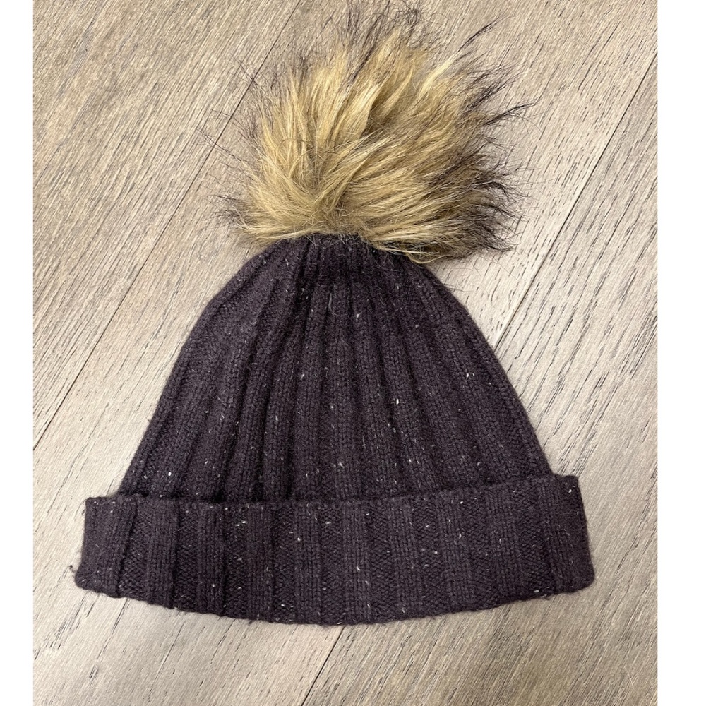 ARITZIA-Alxiliary Pompom Beanie